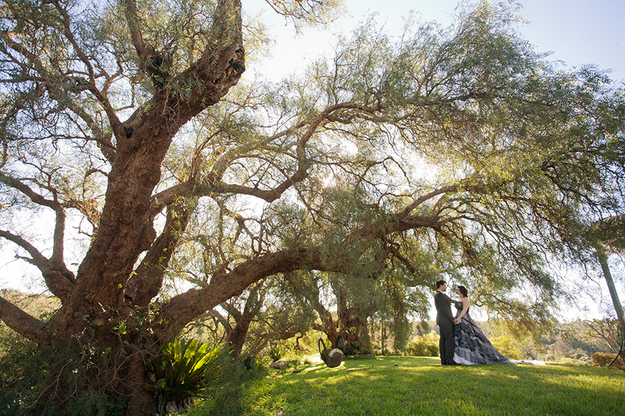 BPhotographed Belgenny Farm Wedding