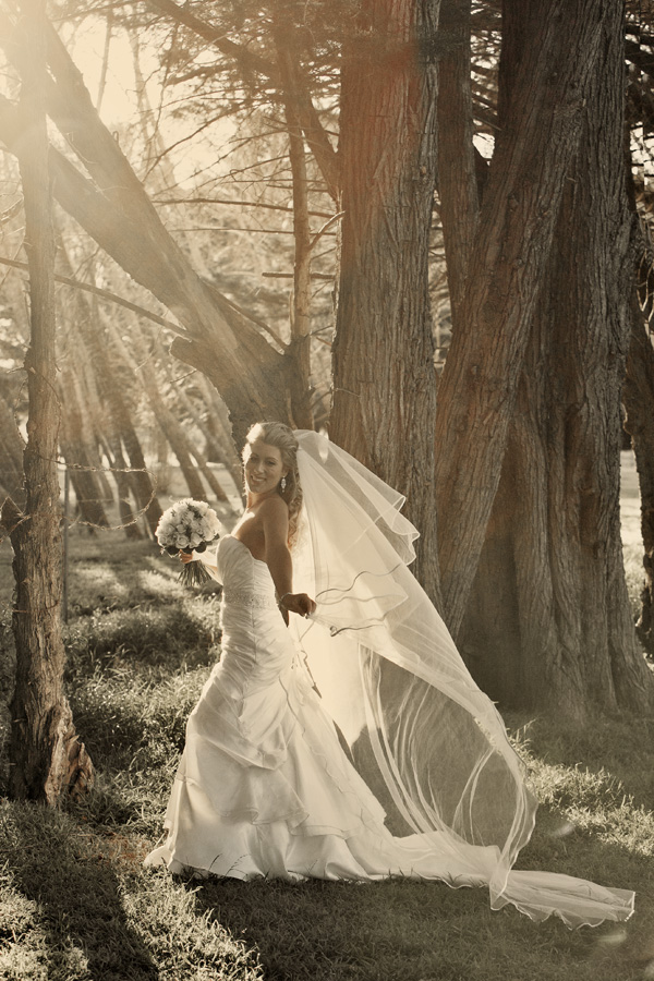 Daydream Island Wedding photos BPhotographed Belgenny Farm Wedding