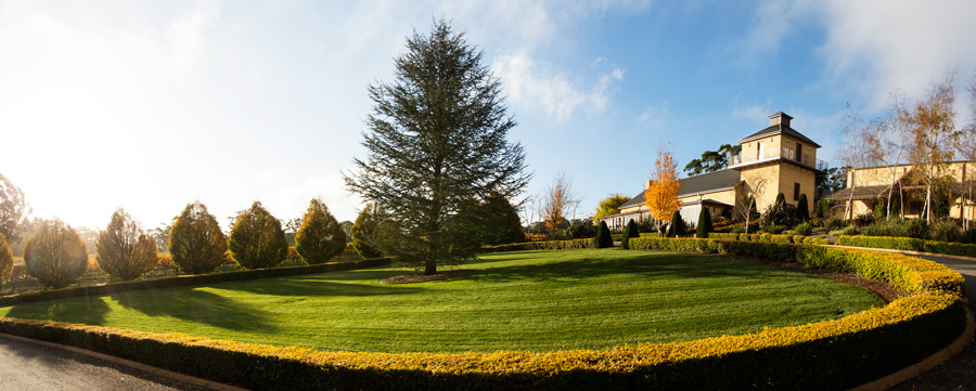 The Centennial Vinyards Photos Wedding