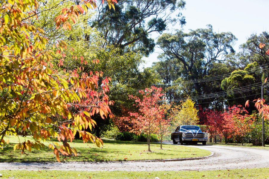 The Briars Wedding Bowral Wedding