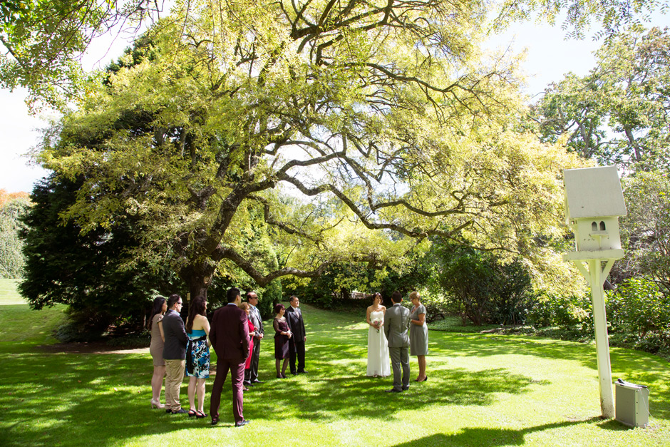 Wedding Ceremony Photos