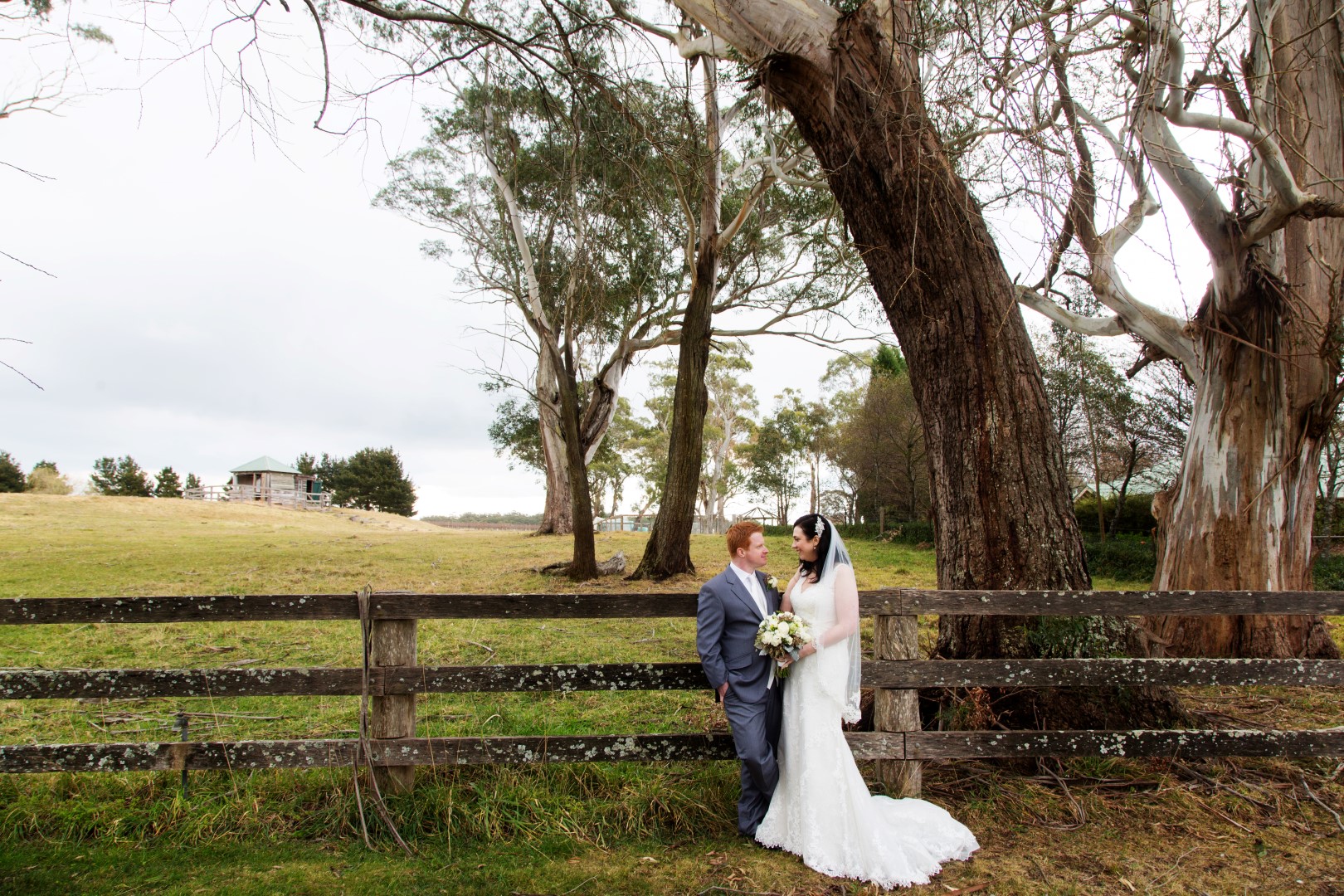 Centennial Vinyards