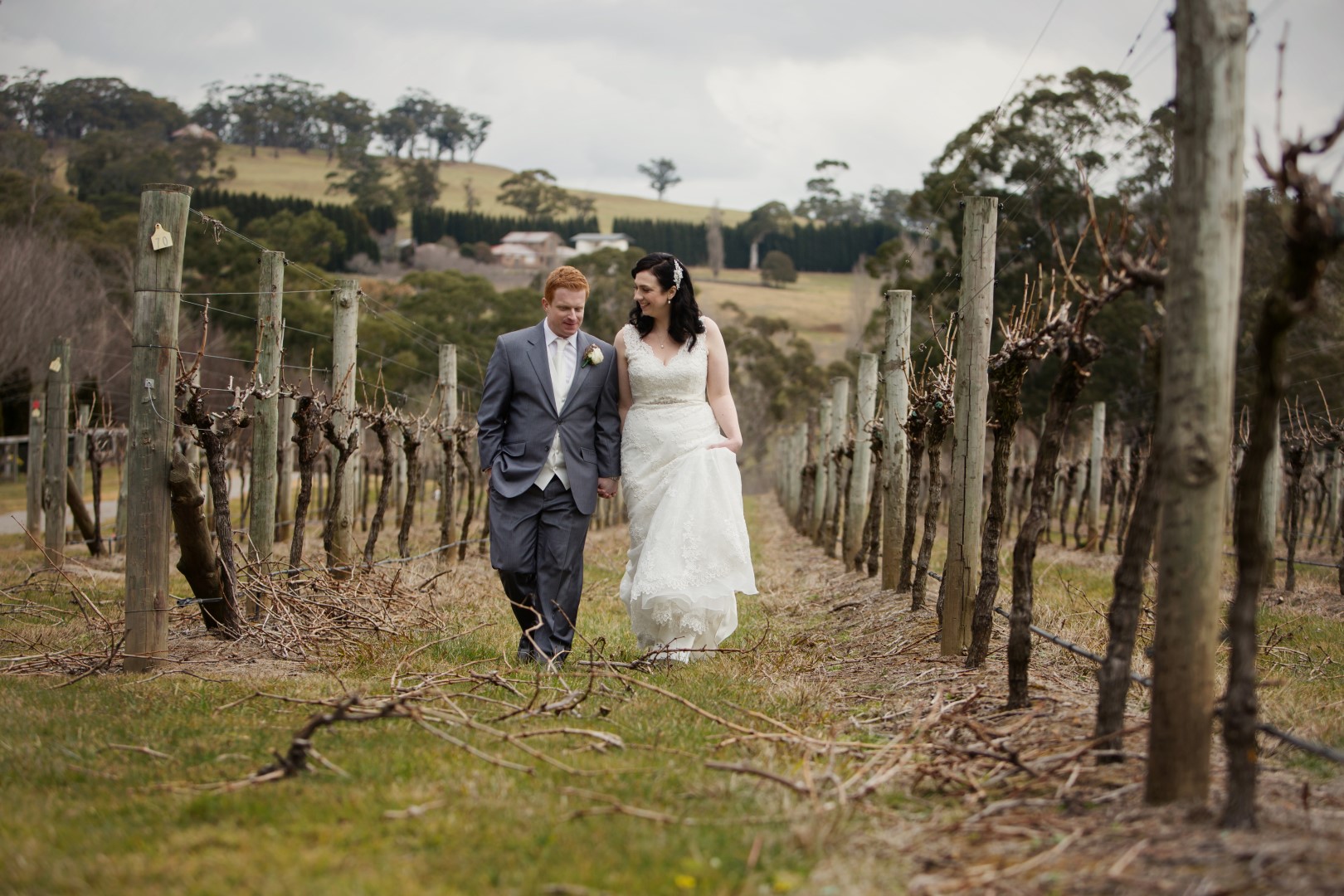 Centennial Vinyards