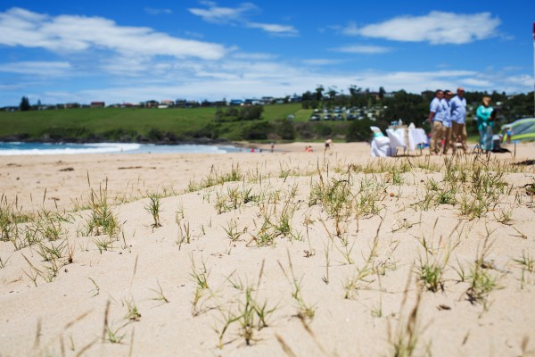 Kiama Wedding